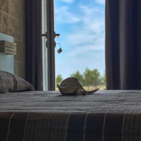Residenza Arse 4* Torre Lapillo