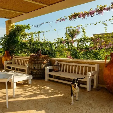 Residenza Arse 4*